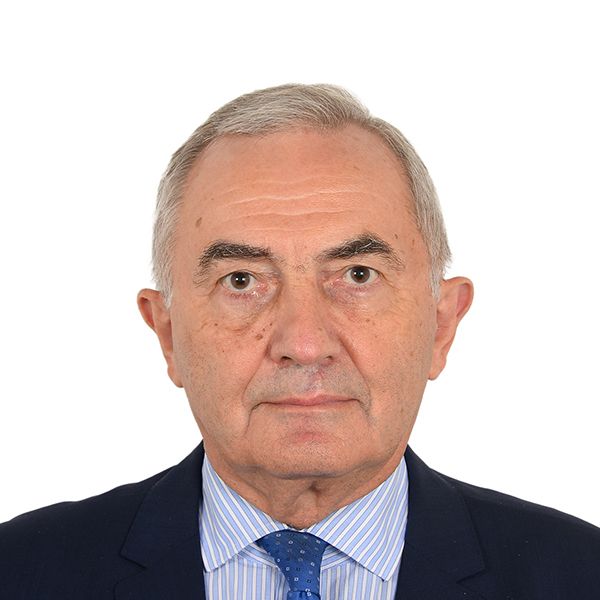Portrait of Ambassador Lazar Comănescu